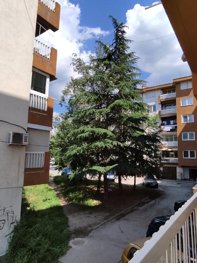 Marko'S Apartment Ohrid Exteriör bild